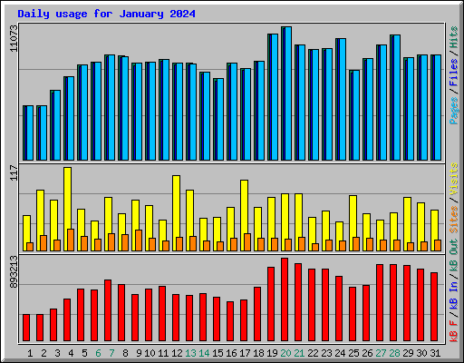 Daily usage for January 2024