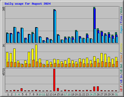 Daily usage for August 2024