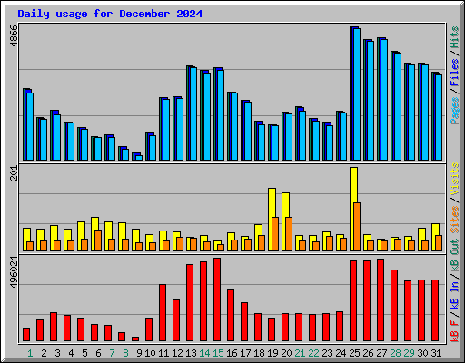 Daily usage for December 2024