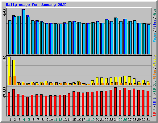 Daily usage for January 2025