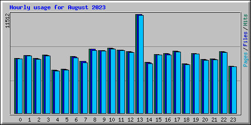 Hourly usage for August 2023