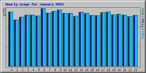 Hourly usage for January 2024
