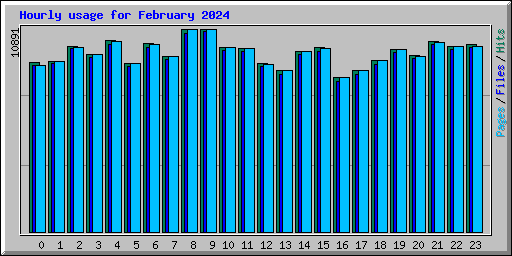 Hourly usage for February 2024