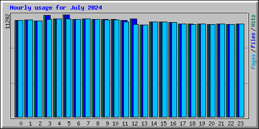 Hourly usage for July 2024
