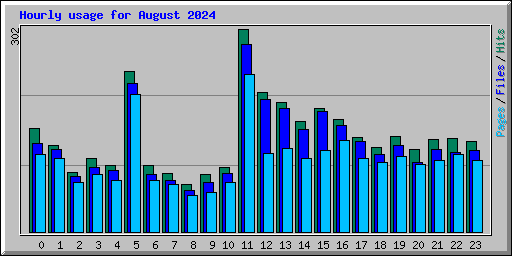 Hourly usage for August 2024