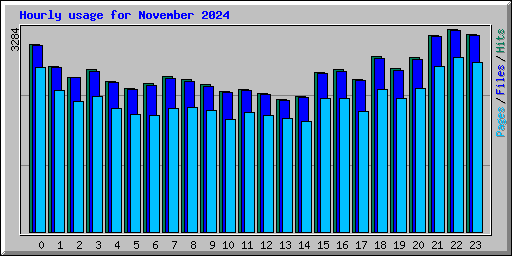 Hourly usage for November 2024