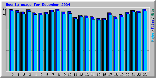 Hourly usage for December 2024