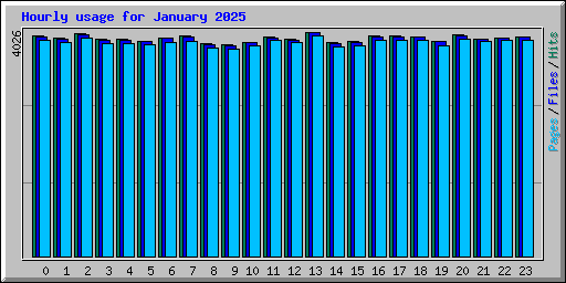 Hourly usage for January 2025