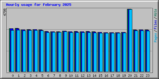 Hourly usage for February 2025