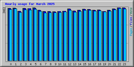 Hourly usage for March 2025
